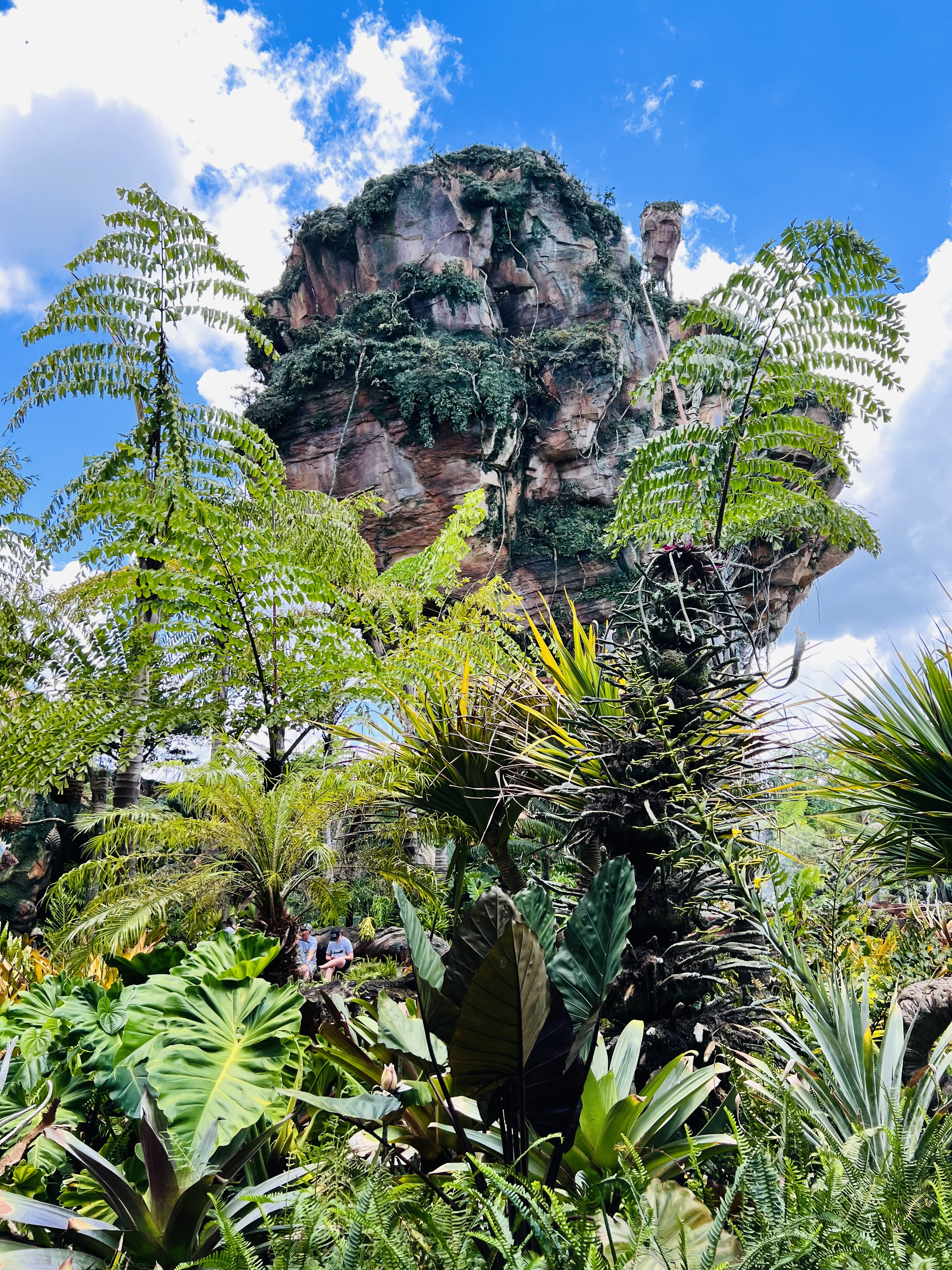 HAA Disney: Top 10 – Animal Kingdom