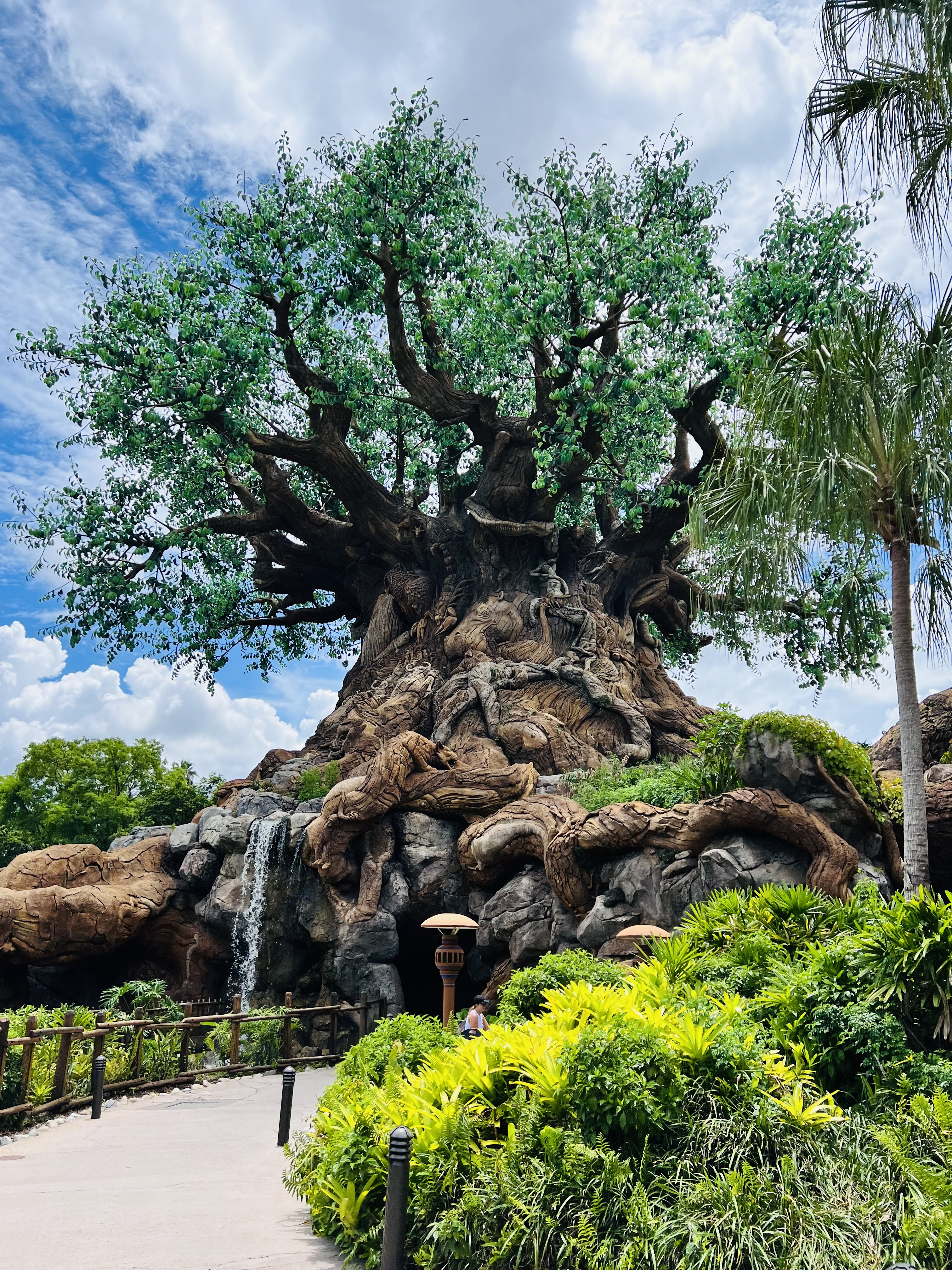 A Real Safari in Florida?! Our Wild Review of Kilimanjaro Safaris at Disney’s Animal Kingdom