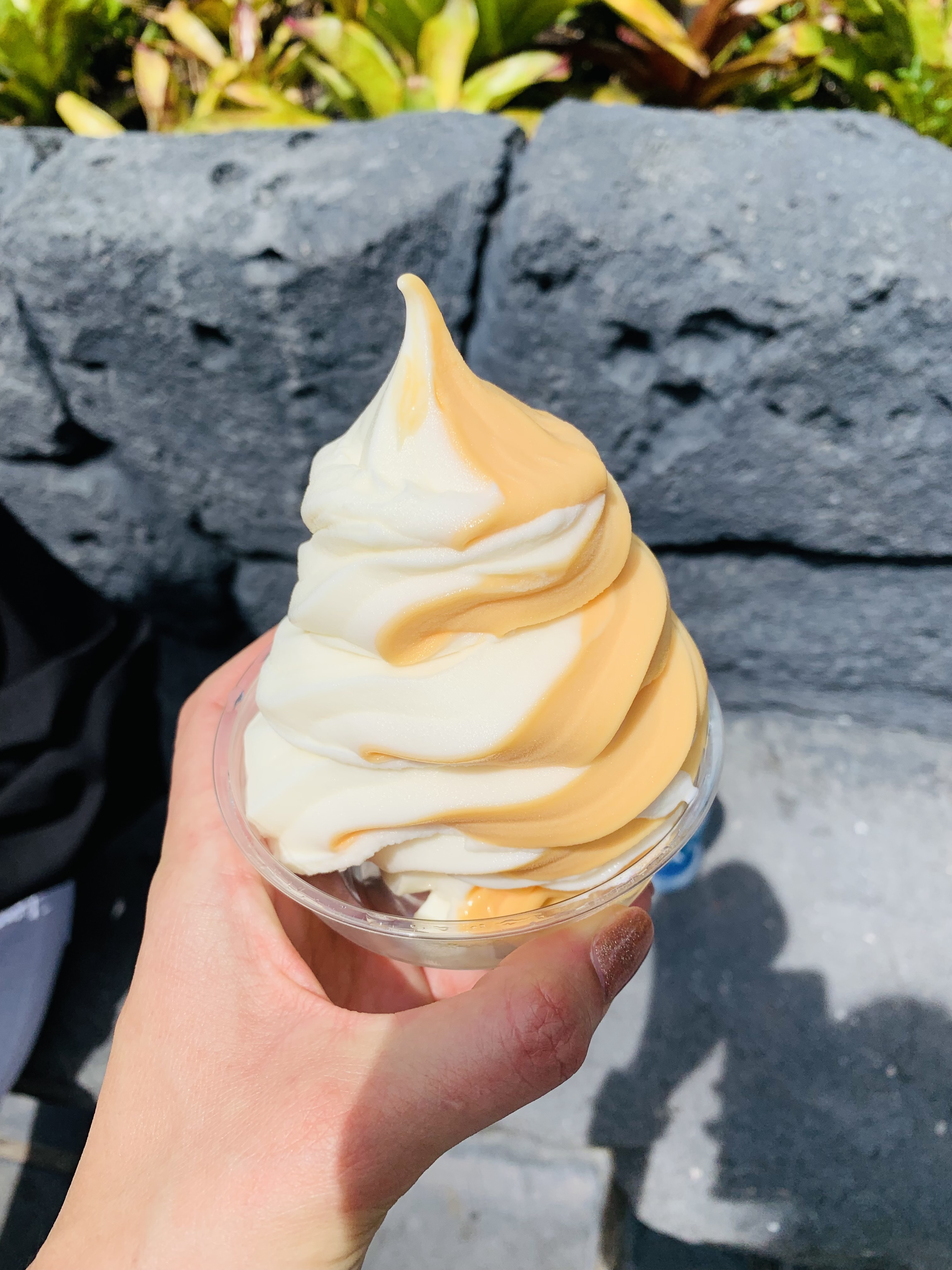 HAA Disney: Give Me a Review – Sunshine Tree Terrace