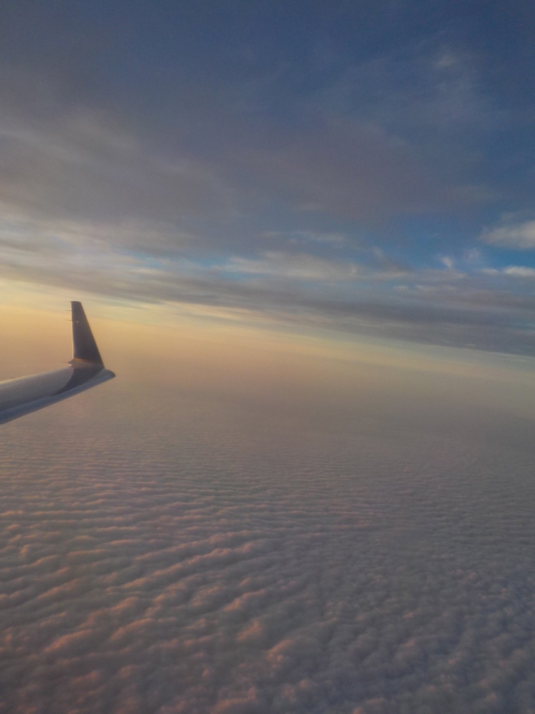 HAA Disney: Give Me A Review – Walt Disney World Travel&nbsp;Booking