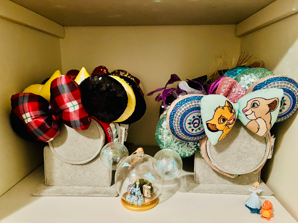 HAA Disney: Top 10 – Ways To Bring Disney Parks&nbsp;Home