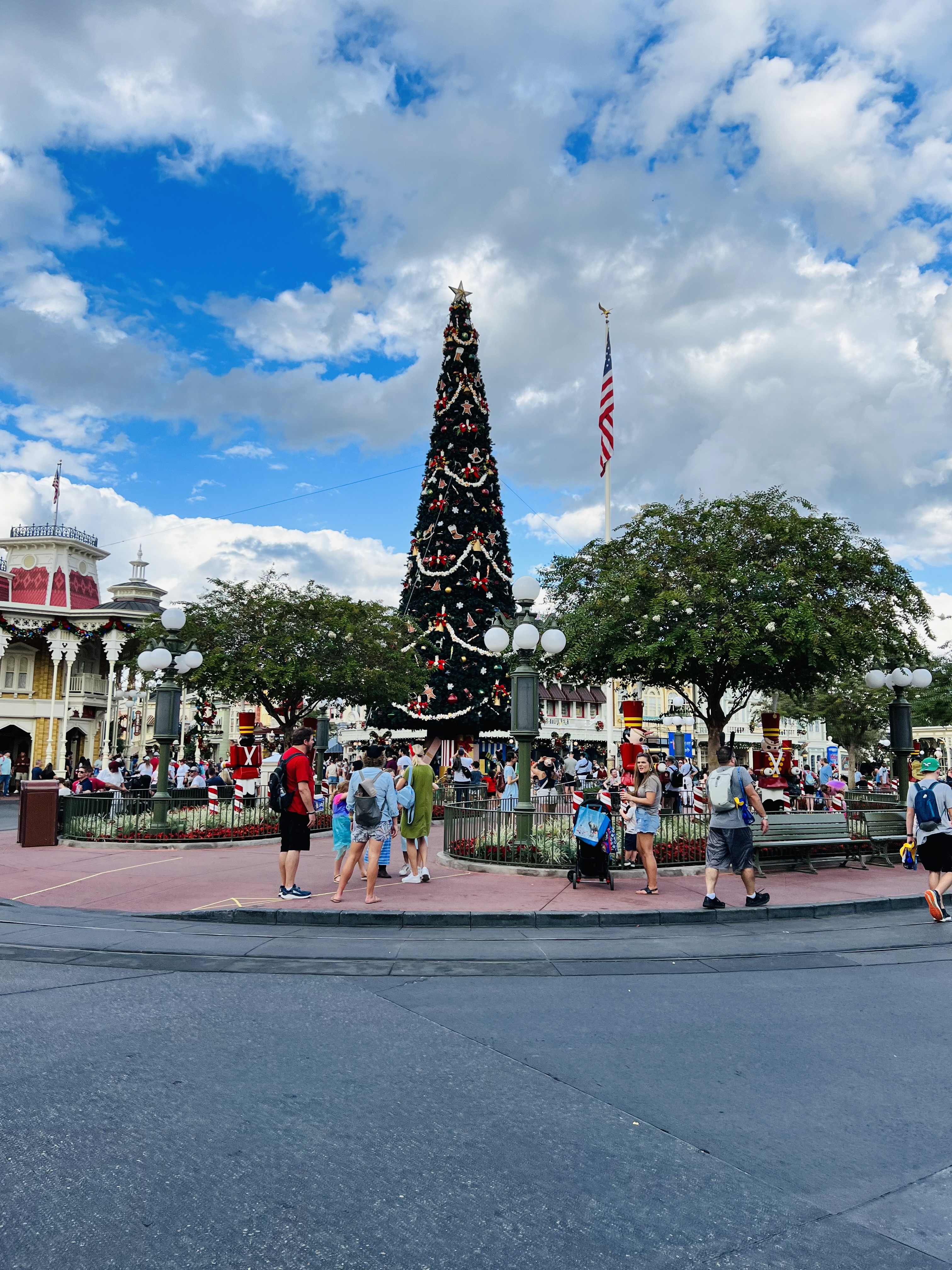 Christmas in Walt Disney World- HAA Disney: Give Me A Review