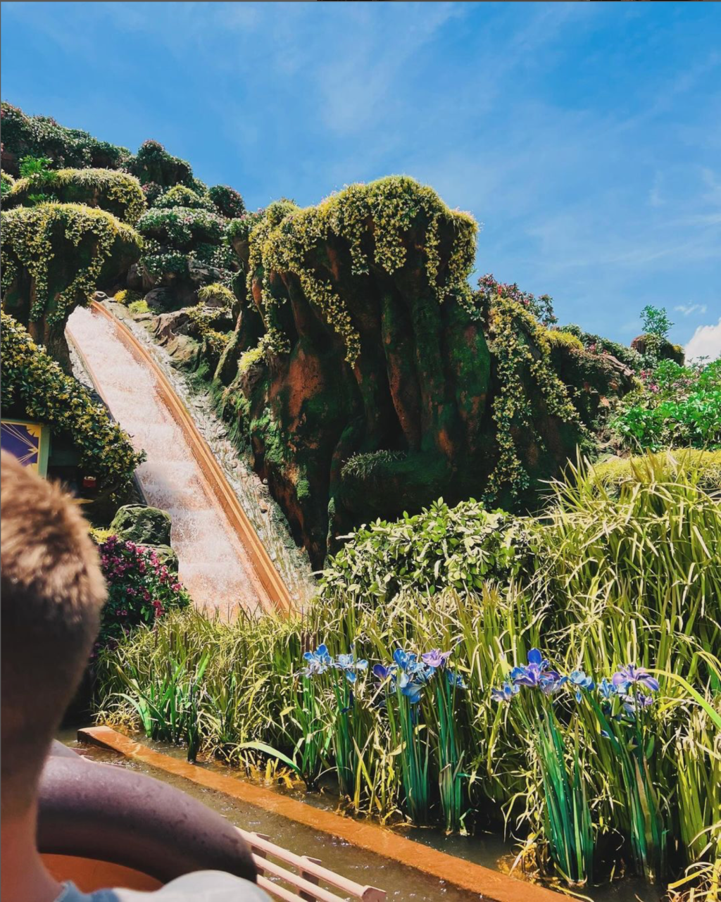 Top 5 Reasons This Summer is One for the&nbsp;Storybooks