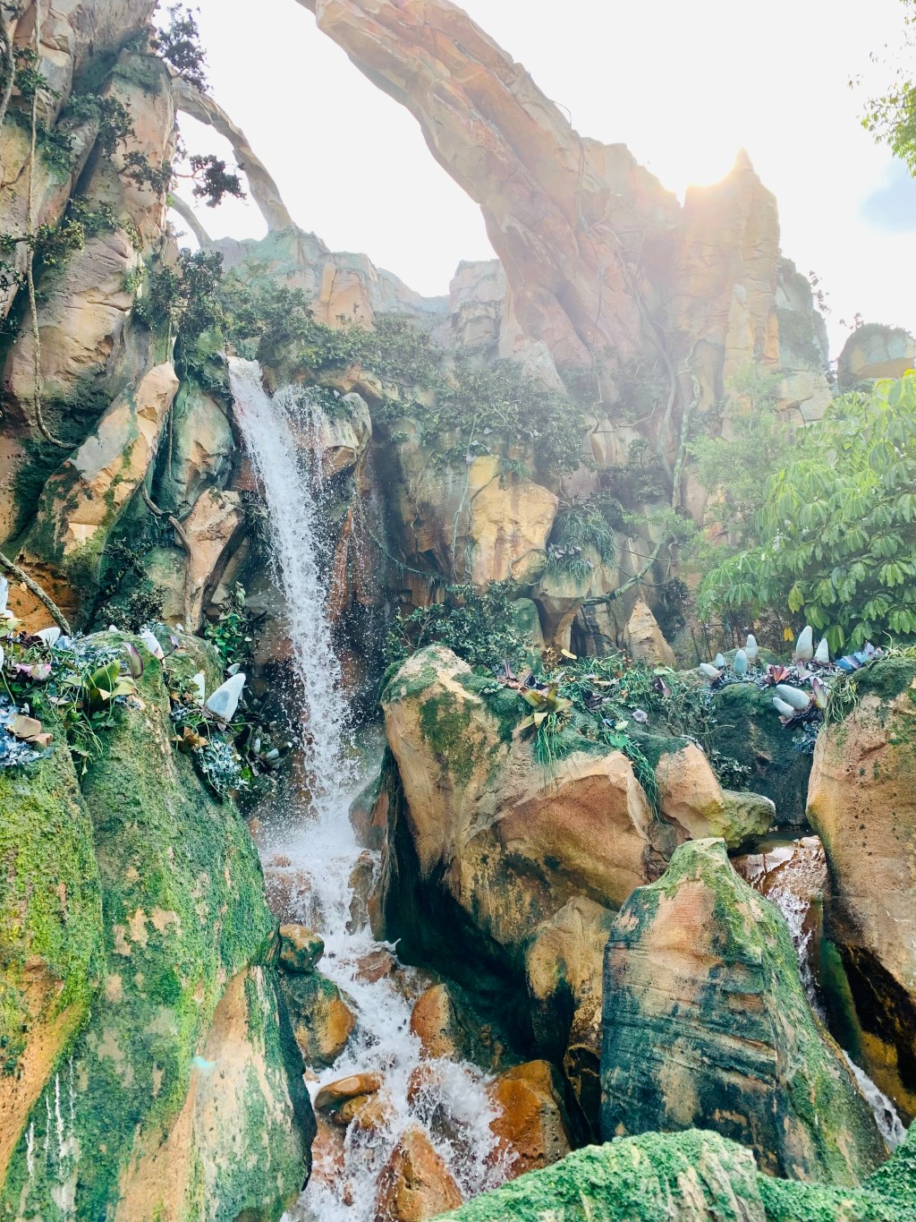 Intentional Leadership; Lessons from Disney Parks – HAA Disney: Let’s&nbsp;Lead