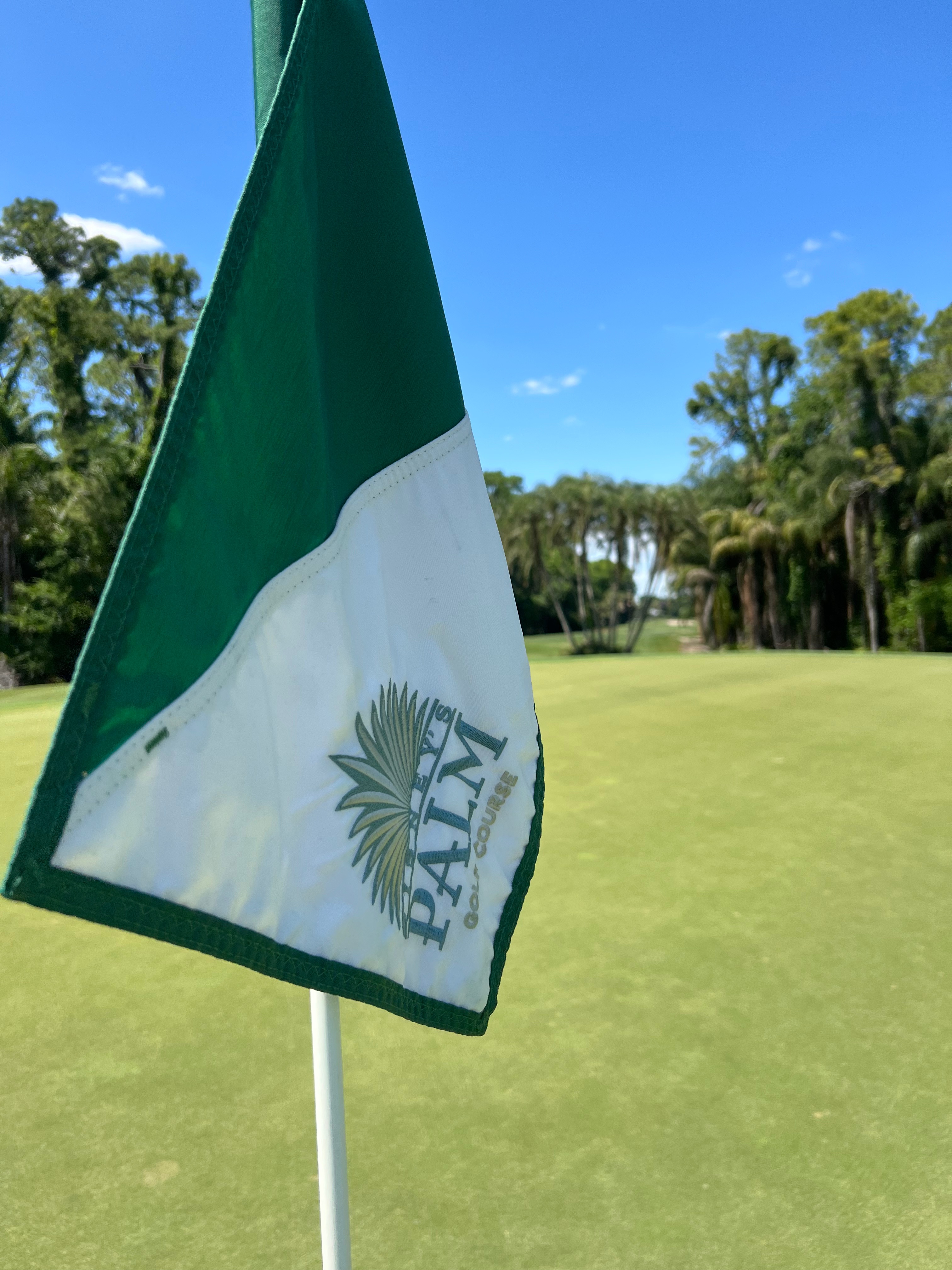 Is Disney’s Palm Golf Course Worth It? | Honest Walt Disney World Golf Review