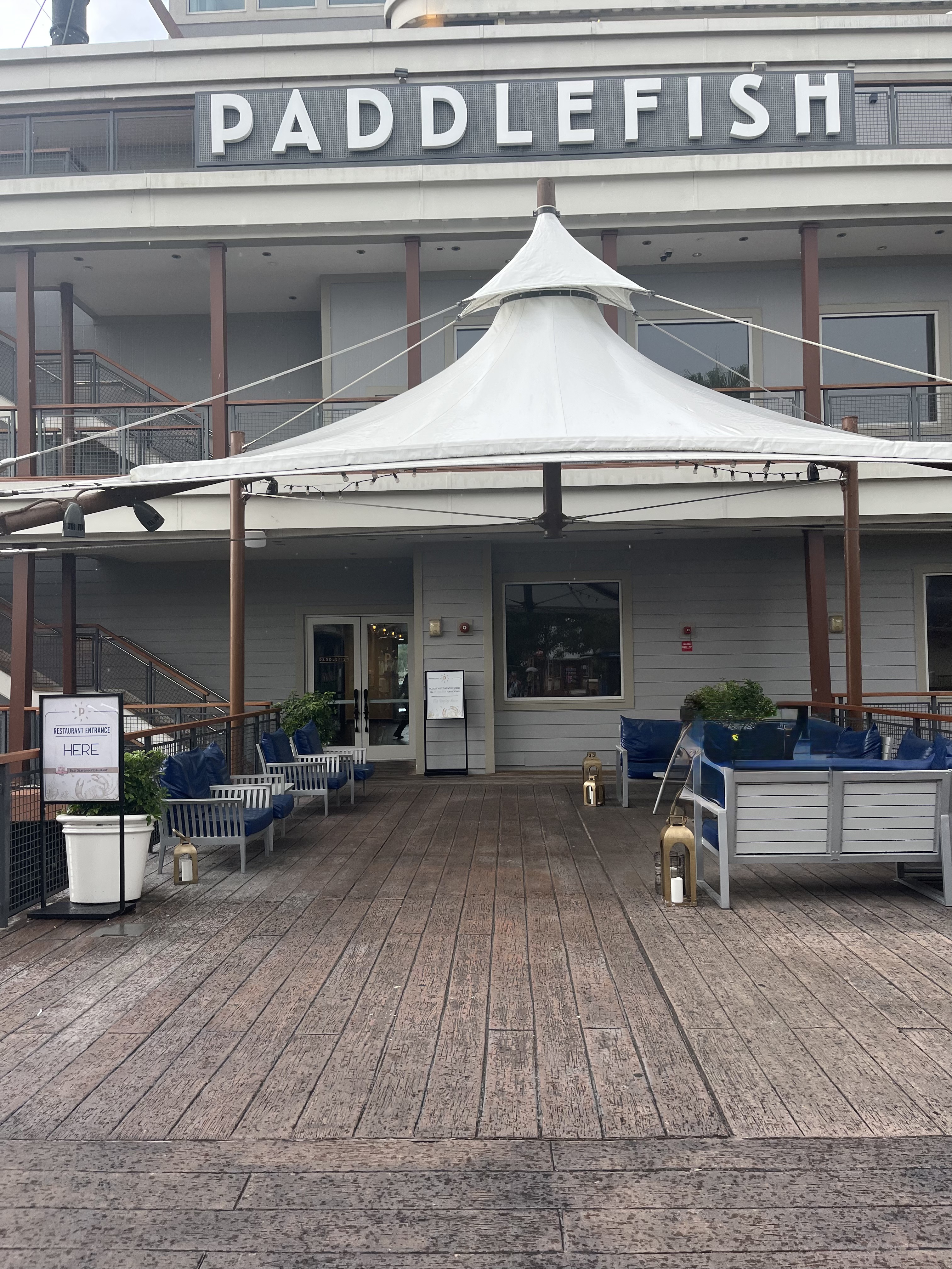 Is Paddlefish at Disney Springs Worth It?